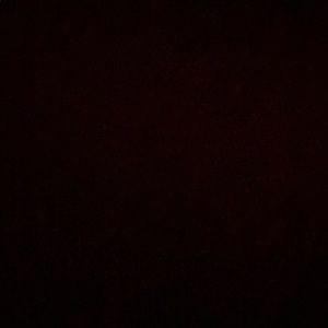 Meet your Posher, Daphnee